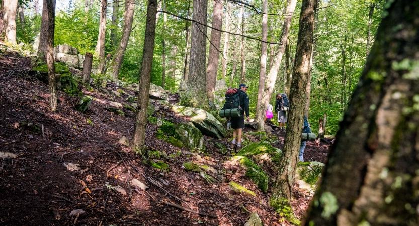 A group of backpackers hike through a wooded area